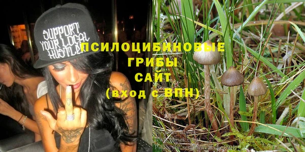гидропоника Новозыбков