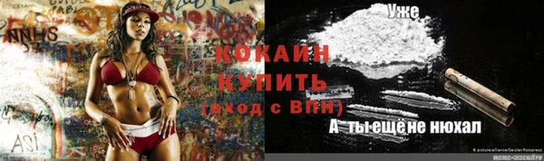 гидропоника Новозыбков