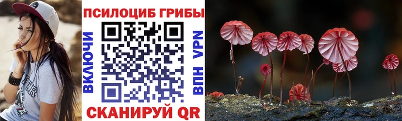 Псилоцибиновые грибы MAGIC MUSHROOMS Тольятти