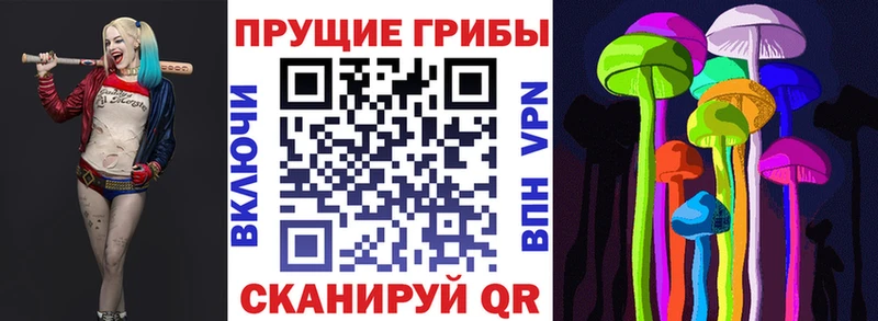 наркошоп  Тольятти  Галлюциногенные грибы Cubensis 