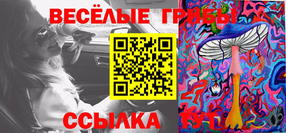 Псилоцибиновые грибы Psilocybine cubensis Тольятти